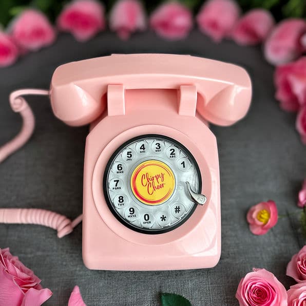 Pink rotary phone in a floral frame